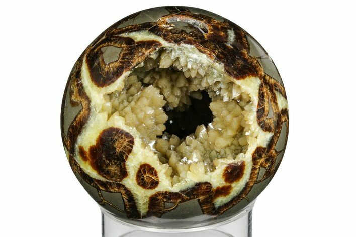 Bargain, Crystal Filled, Polished Septarian Sphere - Utah #170323